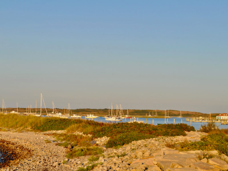 Cuttyhunk,Harbor,In,Late,Summer,Light
