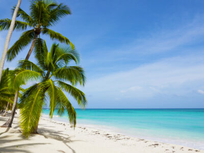 Bahamas,Palms,Beach,Landscape.,Clear,Blue,Sea,And,White,Sand.