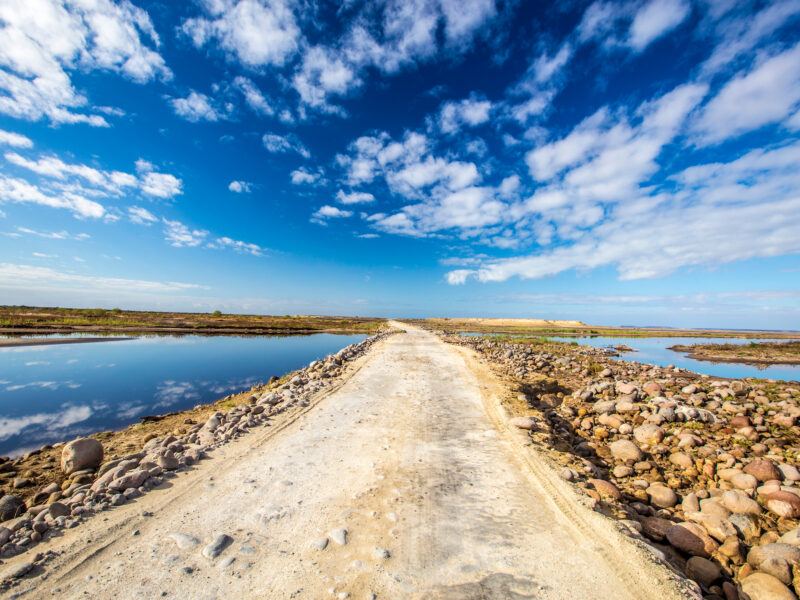 Trip,In,Baja,California,-,Mexico